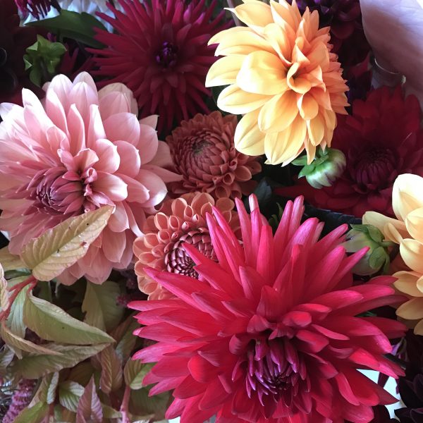 WHOLESALE FLOWERS Pitfield Barn