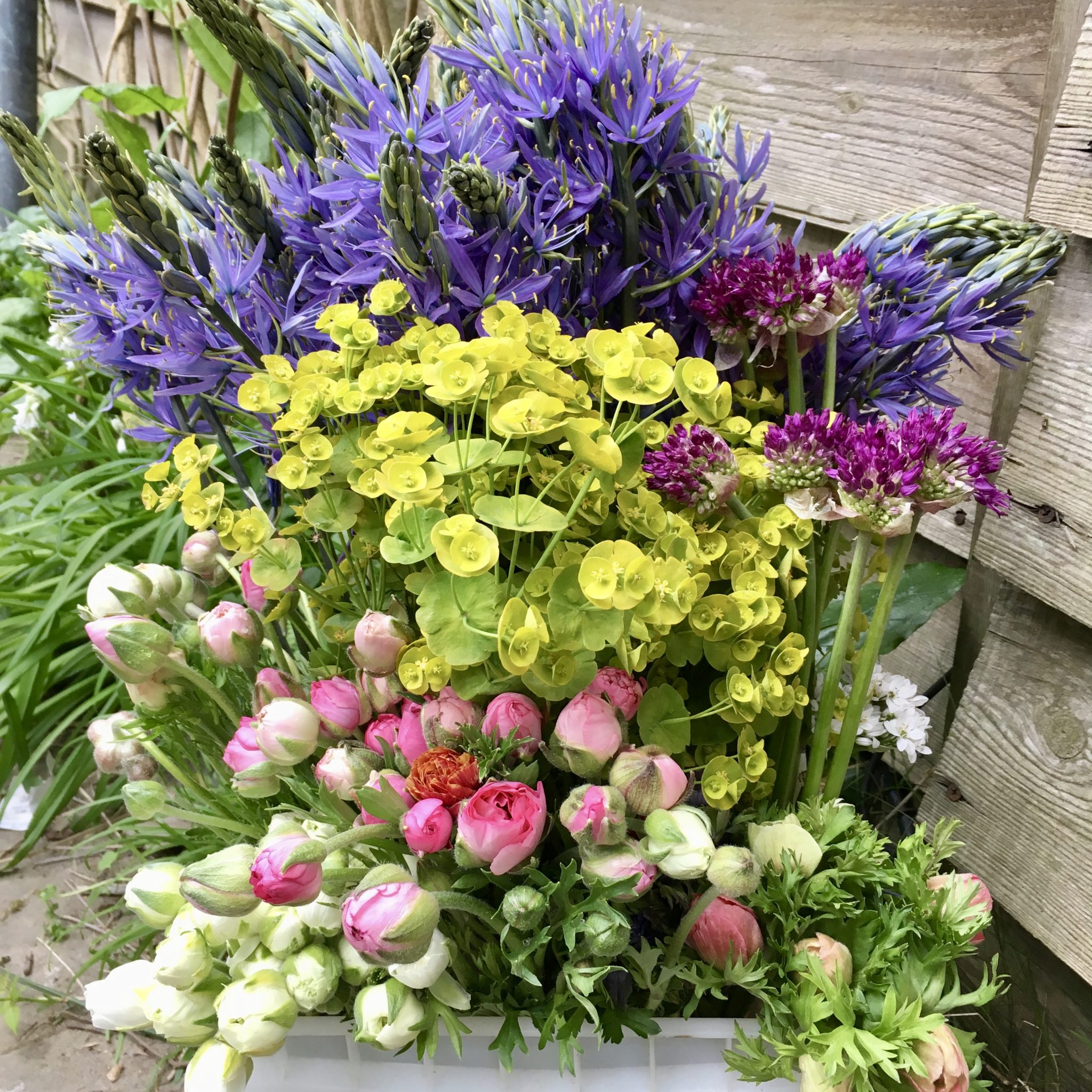 FLOWERS FOR EVERYONE, FOR ALL OCCASIONS Pitfield Barn