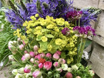 Pitfield Barn Flower Subscription