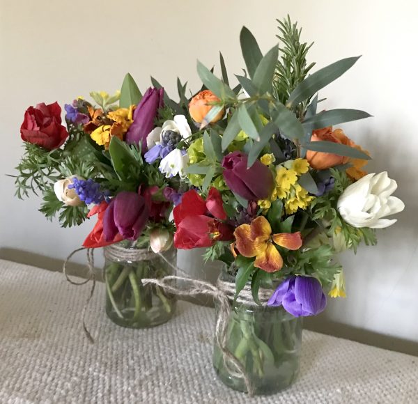 Pitfield Jars in Bloom