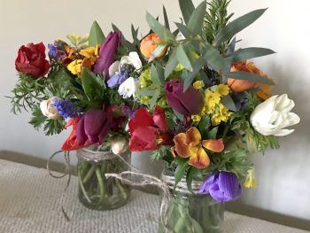 Pitfield Jars in Bloom