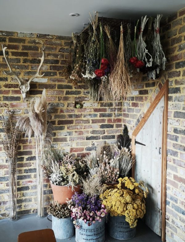 Dried Flowers