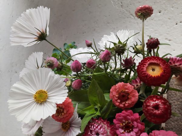 Wholesale Flowers